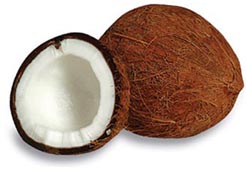 coconut2